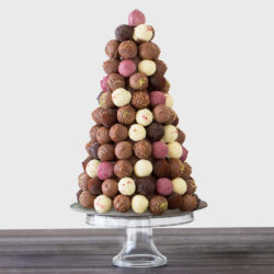 Truffle Desert Large